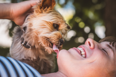 Woman-yorkie-friends