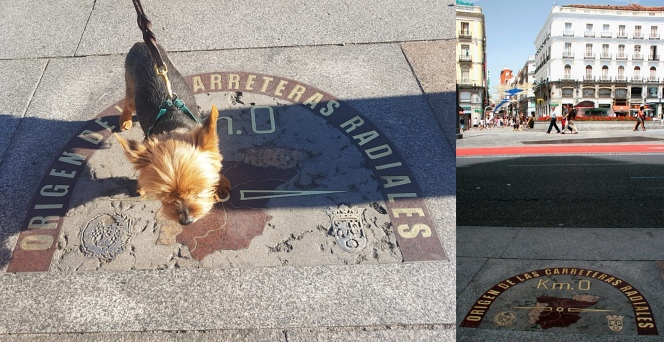 Detailed guide to travel with dog to Europe
