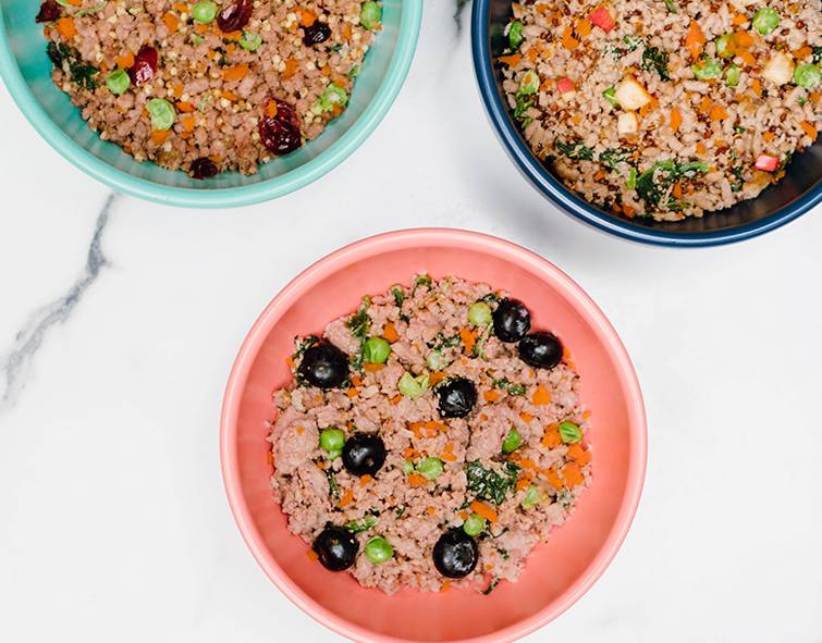 healthy dog food
