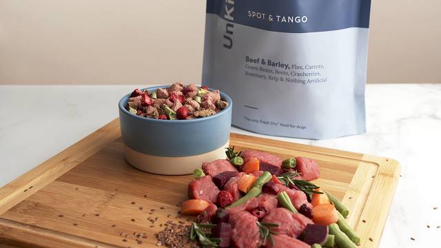 healthy dog food