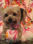 Molly of Bobbie Winrow