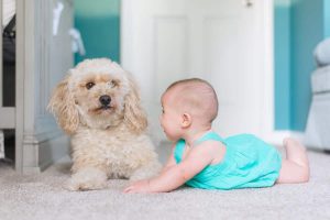 A dog and a baby sitting together in a carpet