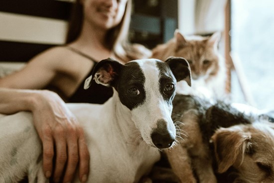 a woman with cats and a dog beside her