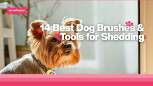 Best Dog Brushes
