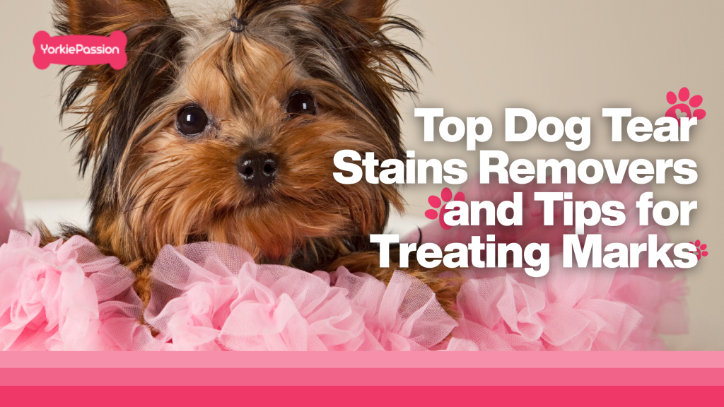 dog tear stains