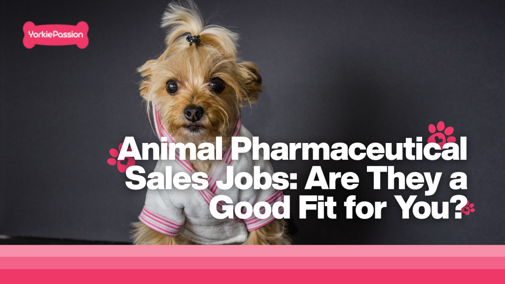 Animal Pharmaceutical Sales Jobs