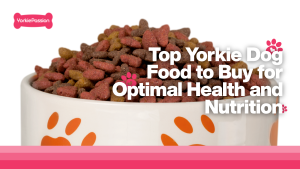 Top Yorkie Dog Food