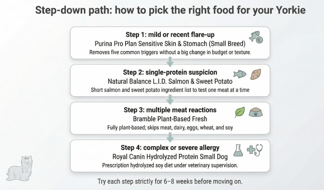 How to pick the right food for your Yorkie 